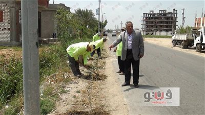 بالصور.. حملة نظافة وتشجير بمركز أبو حمص في البحيرة