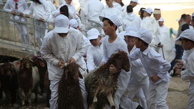 السامريون يحيون عيد الفصح على قمة جبل جرزيم (صور)