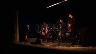 كاميليا جبران تختتم مهرجان الموسيقى المعاصرة بالقاهرة (فيديو وصور)