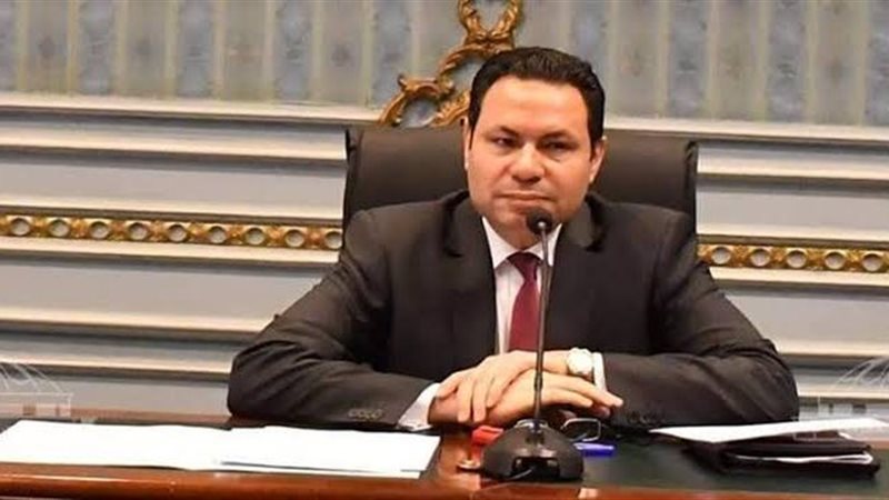 النائب هشام الحصرى،