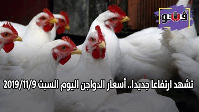 تشهد ارتفاعا جديدا.. اسعار الدواجن اليوم السبت 2019/11/9