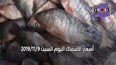 اسعار الأسماك اليوم السبت 2019/11/9.. وكيلو البلطي بـ30 جنيها