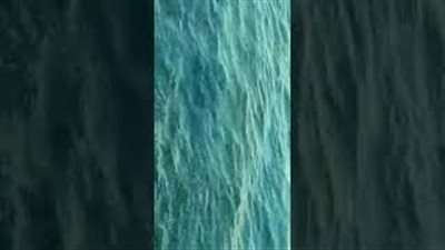 ظهور بقعة زيتية مجهولة المصدر في نهر النيل بأسوان (فيديو)