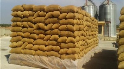 «التموين»: توريد مليون و250 ألف طن قمح محلي ورفض 2700 طن