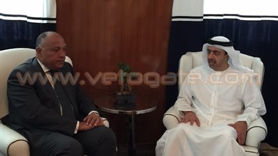 مصر والإمارات تؤكدان على متانة العلاقات ووحدة الأهداف بين البلدين