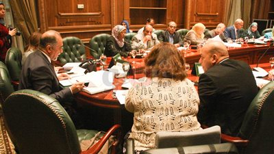 «تضامن النواب»: 2.3 مليار جنيه زيادة في موازنة الشئون الاجتماعية