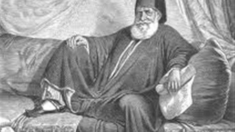 محمد على باشا والى