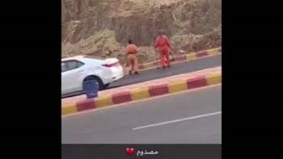 لحظة هجوم قرود على عمال النظافة بالسعودية (فيديو)