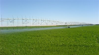 «الريف المصري» تخصص أراضٍ لصغار المزارعين بـ21 ألف جنيه للفدان