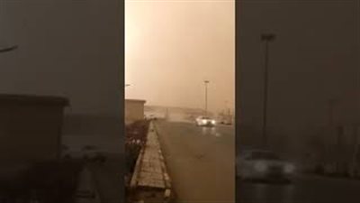 نجاة ركاب سيارة لحظة سقوط عمود إنارة (فيديو)