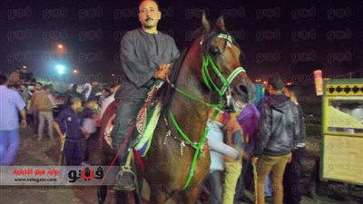 بالفيديو والصور.. الخيل العربي ترقص على تسلم الأيادي في الليلة الختامية لمولد البدوي