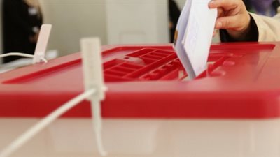 وفد من جامعة الدول العربية يراقب الانتخابات الرئاسية بجورجيا