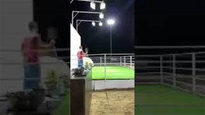 لحظة اعتداء تيس في مزاد علني بالكويت على أعضاء لجنة البيع (فيديو)