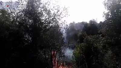 حرائق لبنان تتجدد وتلتهم مساحات خضراء واسعة (فيديو)