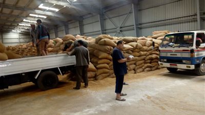 توريد 16 ألفا و188 طن قمح لشون وهناجر دمياط (صور)