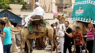 انطلاق دورة أبو الحجاج بالأقصر بمشاركة آلاف المواطنين