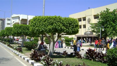 مؤتمر للتدخلات الجراحية للمخ والأعصاب والعمود الفقري بجامعة المنصورة