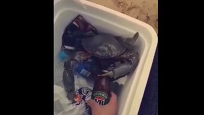 بالفيديو.. 1.5 مليون مشاهدة لـ «كابوريا» تفتح زجاجة بيرة