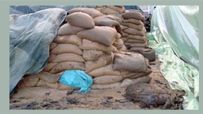 ضبط 3 أطنان قمح فاسد قبل توريدها لشون الفيوم