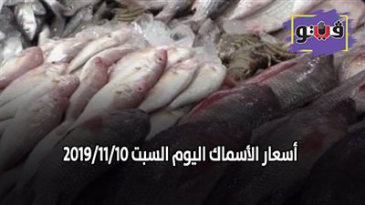 اسعار الأسماك اليوم السبت 2019/11/10.. وكيلو البلطي بـ 30 جنيها