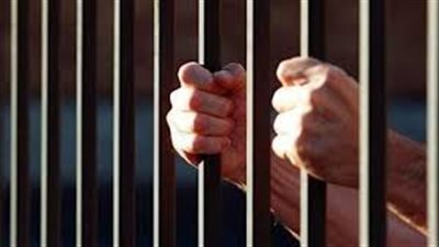 ننشر نتائج التحقيق مع 34 من عناصر اللجان النوعية لـ«الإرهابية»