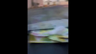 بالفيديو.. ذئب يثير ذعر المواطنين في السعودية