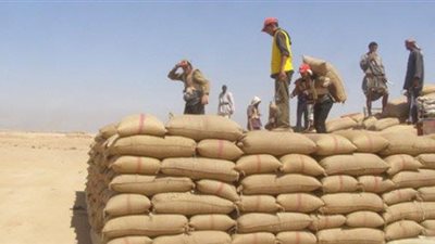 توريد 16 ألفا و503 أطنان قمح إلى صوامع وشون سوهاج