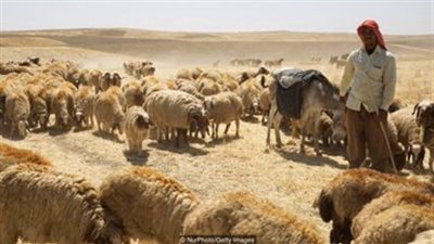 أقدم وصفات الطهي.. وصفة سومرية لتحضير اللحوم عمرها 4000 سنة