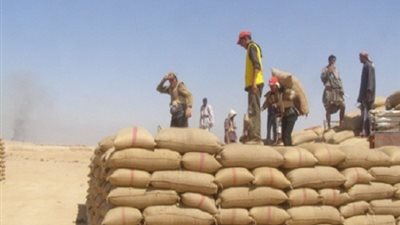 توريد 110 آلاف و738 طن قمح للصوامع والشون بالشرقية
