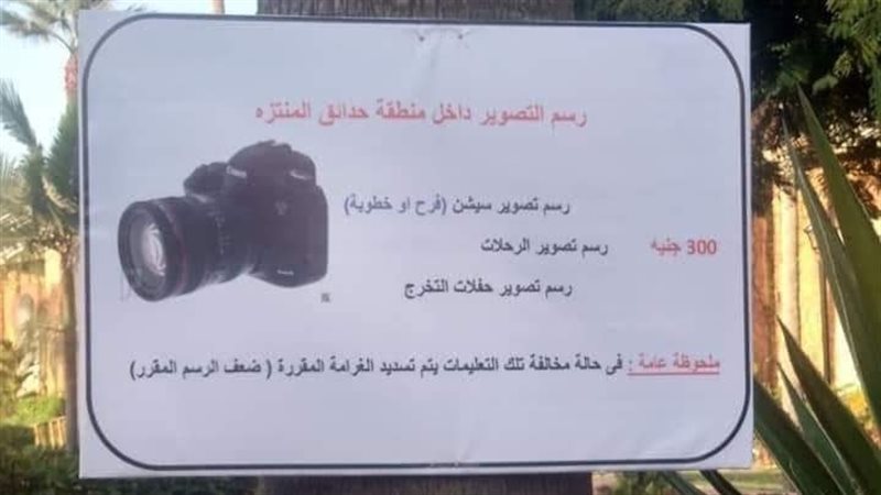 فيتو