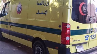 حبس 6 أشخاص قتلوا مسنا بسبب شجرة في الشرقية