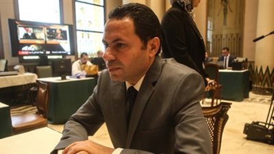 برلماني: الدفاع عن مزارعي الأرز لا علاقة له بمصالح انتخابية