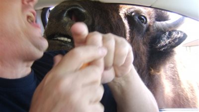 بالصور.. إجازات العائلات الأكثر إحراجا في العالم