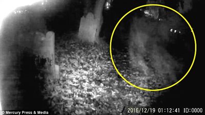 «عفريت» يهاجم شابا يستكشف مقبرة عمرها ٨٠٠ عام (فيديو وصور)