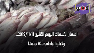 اسعار الأسماك اليوم 2019/11/11.. وكيلو البلطي بـ30 جنيها