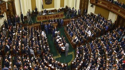 زراعة البرلمان تناقش مشكلة الكلاب الضالة الإثنين المقبل