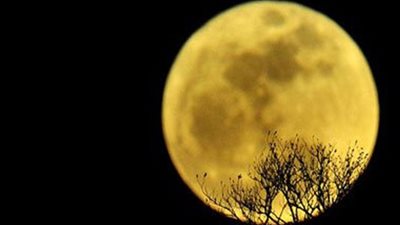 تادروس: الأرض تشهد ظاهرة 