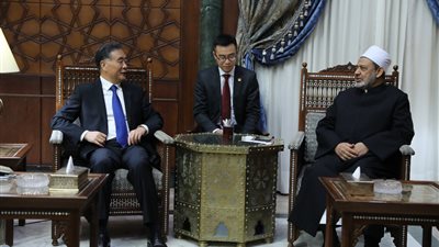 شيخ الأزهر: المسلمون أكثر ضحايا الإرهاب