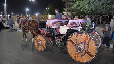 بانوراما مصغرة.. 