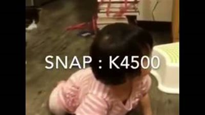 بالفيديو.. قطة تنتقم من طفلة وتسقطها أرضا