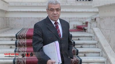 رئيس كهرباء الإسكندرية ينفى تأخر رواتب العاملين