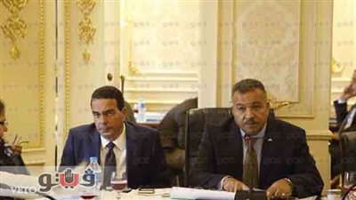 بالصور.. عضو بـ «صحة البرلمان» يرفض منح الوزير حق شطب قيد الصيدلى