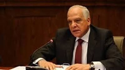 محافظ الجيزة يحضر فعاليات المؤتمر التنسيقي للأمومة والطفولة