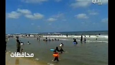 بالفيديو.. القضاء على «الحشرات» بمصيف «بلطيم»