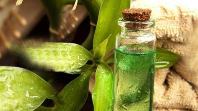 زيت شجرة الشاي للتخلص من حبوب الوجه