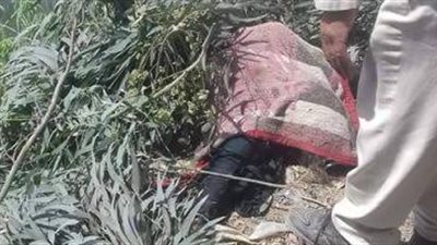 العثور على جثة شاب مذبوح ملقاة بأرض زراعية في طنطا