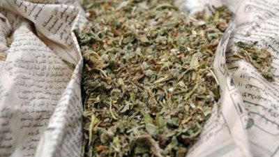 ضبط طالب بحوزته «بانجو» وفرد خرطوش بالدقهلية