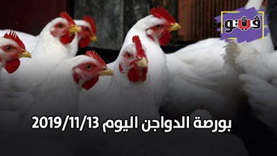 بورصة الدواجن | أسعار الدواجن اليوم 2019/11/13