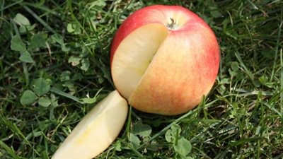 تعرفي على فوائد التفاح لصحة طفلك