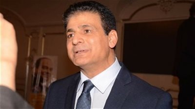 الجالية المصرية بالنمسا: بيان الأمم المتحدة لحقوق الإنسان أنصف مصر